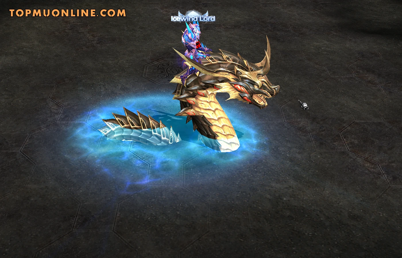 Dragon pet in MU Online Season 21 - speed and damage bonus